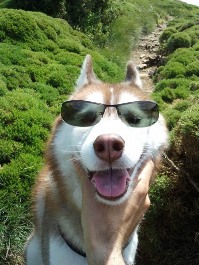 Como le molesta el sol, el tio pichi va con gafas.